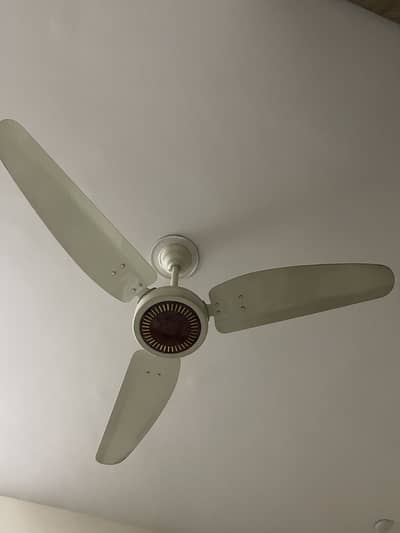 Royal Passion 56” Copper Fan – Like New | No Repair