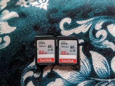 2× SanDisk 32 GB cards