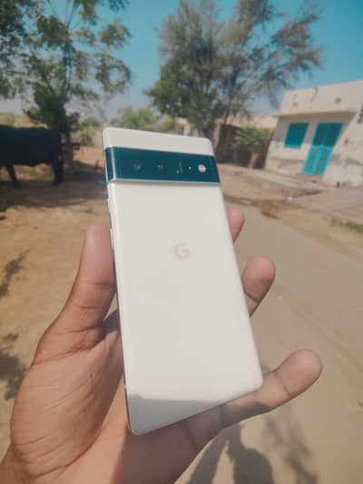 Google Pixel 6 Pro official PTA 256gb