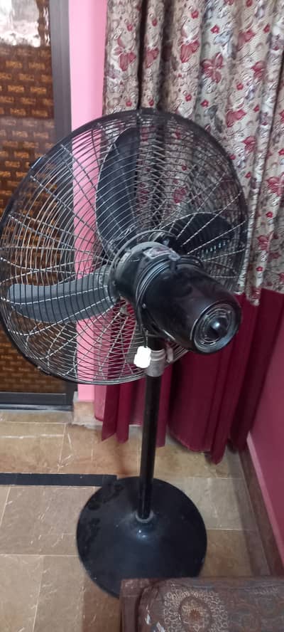 24Inch 220V A. C Pedestal Fan