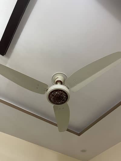Royal Regency 56” Ceiling Fan | 99.99% Copper | 6 Pieces Available