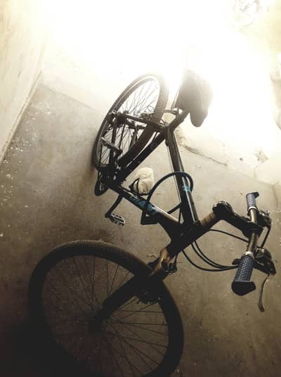 GIANT    stunt  bicycle