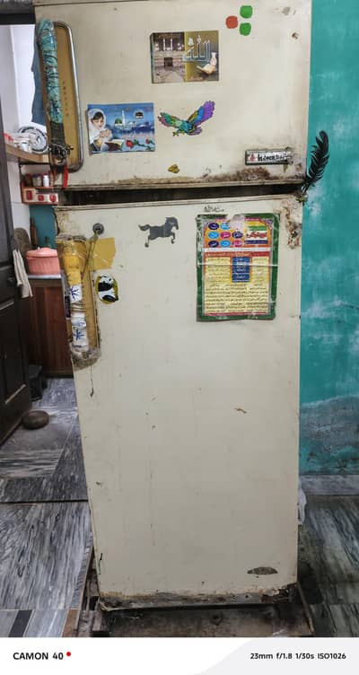 indesit refrigerator Italian