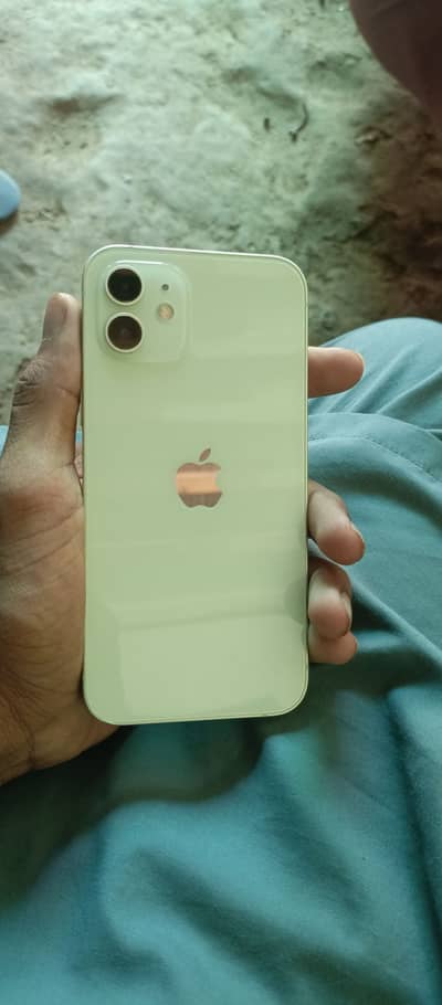 iPhone 12 256 GB