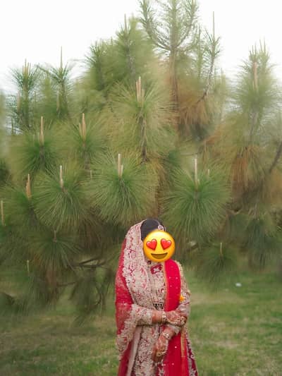 Bridal lehanga in red colour-heavy handwork