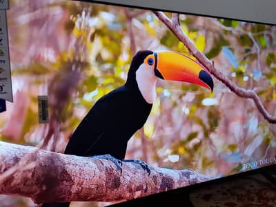 smart TV