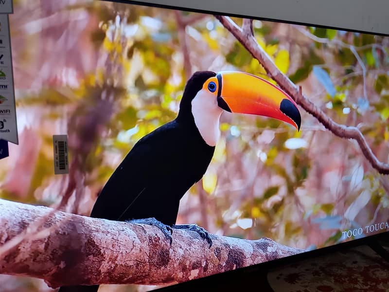 smart TV  42 inch 0