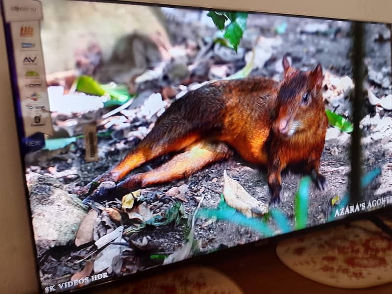 smart TV  42 inch 1