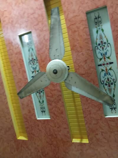 Fan .