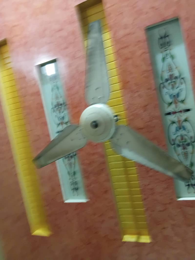 Fan . 1
