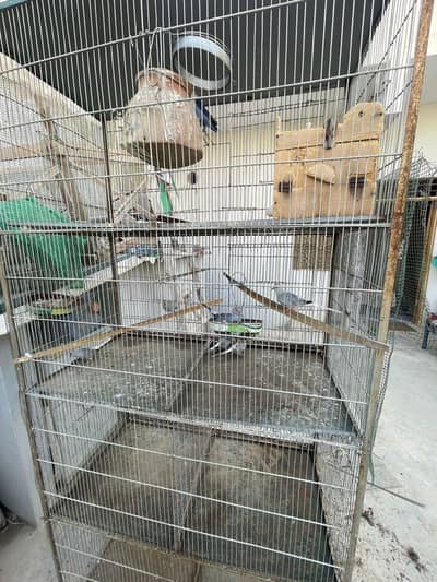 5ft cage