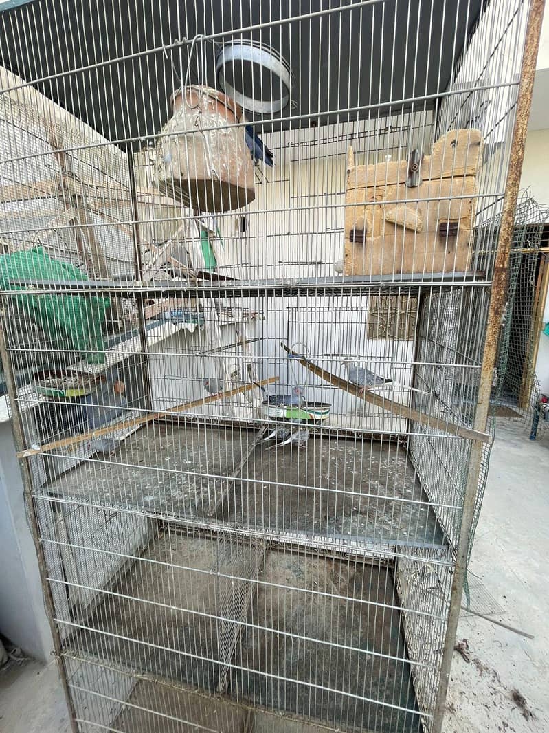 5ft cage 0