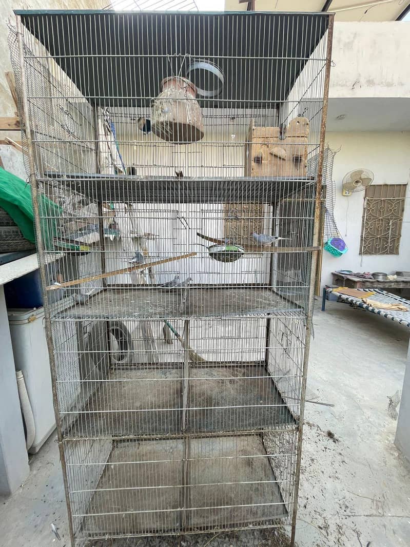 5ft cage 1