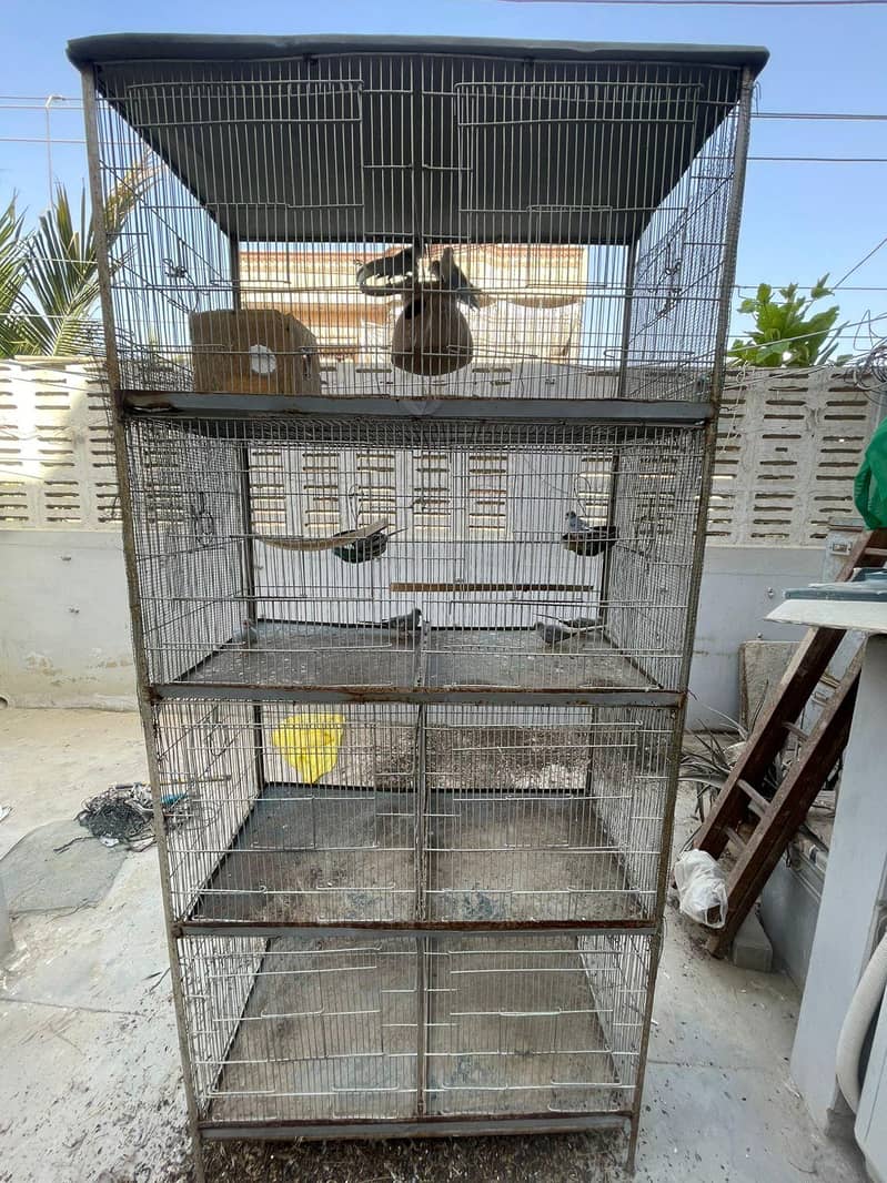 5ft cage 2