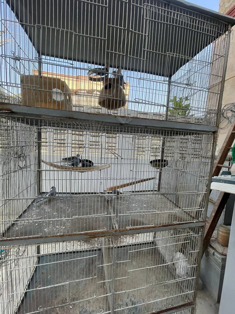 5ft cage 3