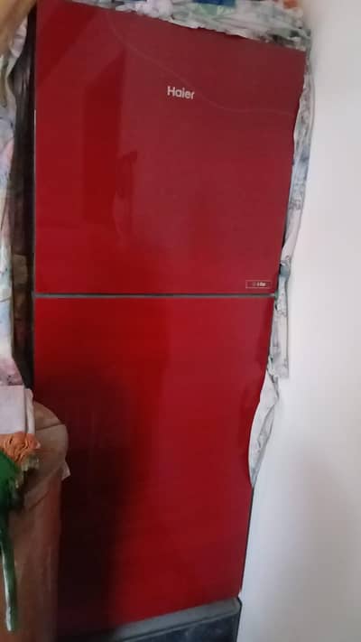 Haier fridge
