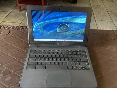 hp chromebook
