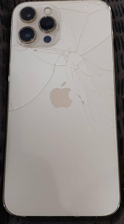 Apple iPhone 12 Pro Max
