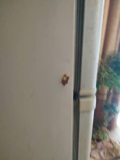urgent sale