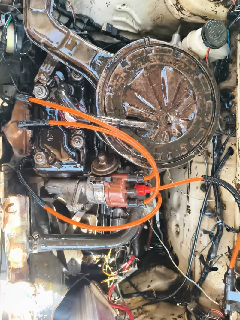 mehran 12