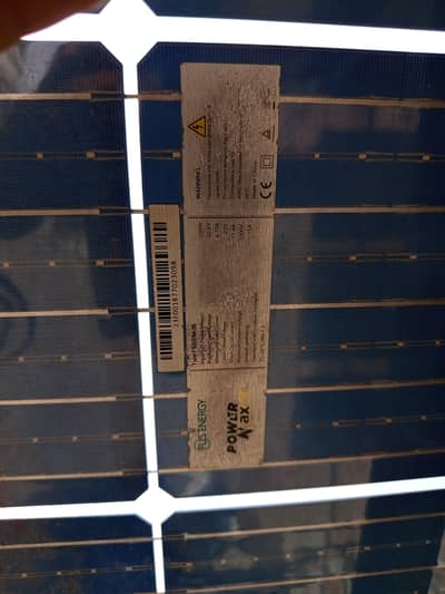 solder palat 2