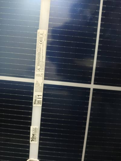 solder palat 2