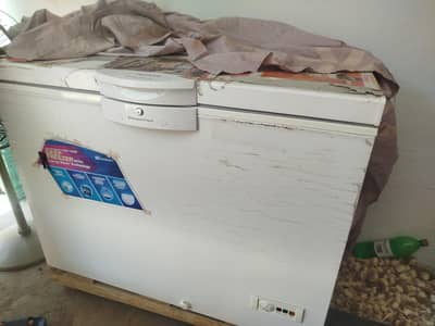 Freezer for Sale