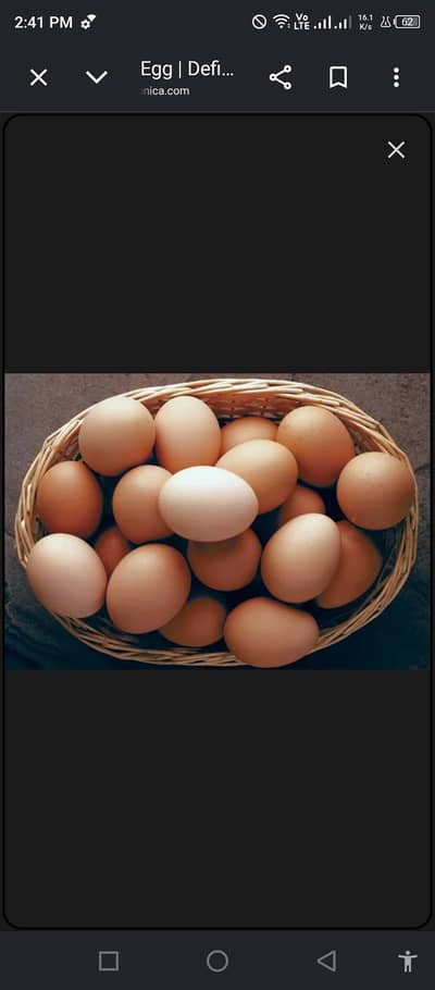 Aseel Hera Eggs |fresh| Fertilize| For Sale