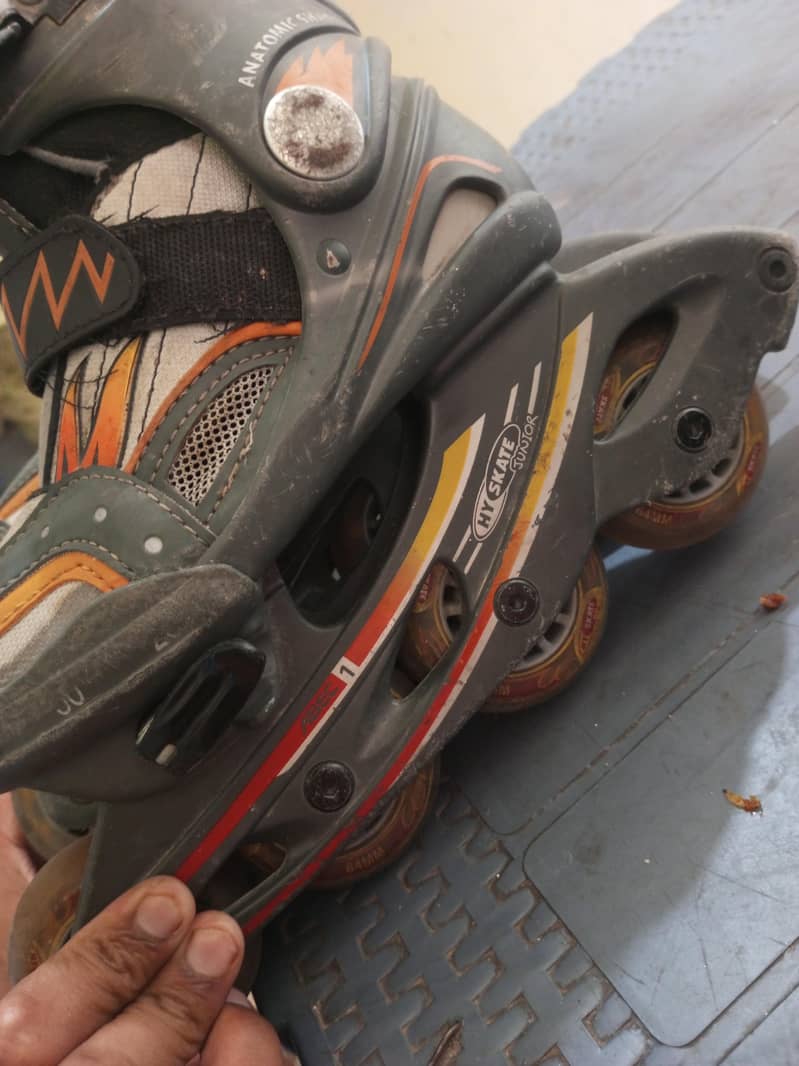skates 1