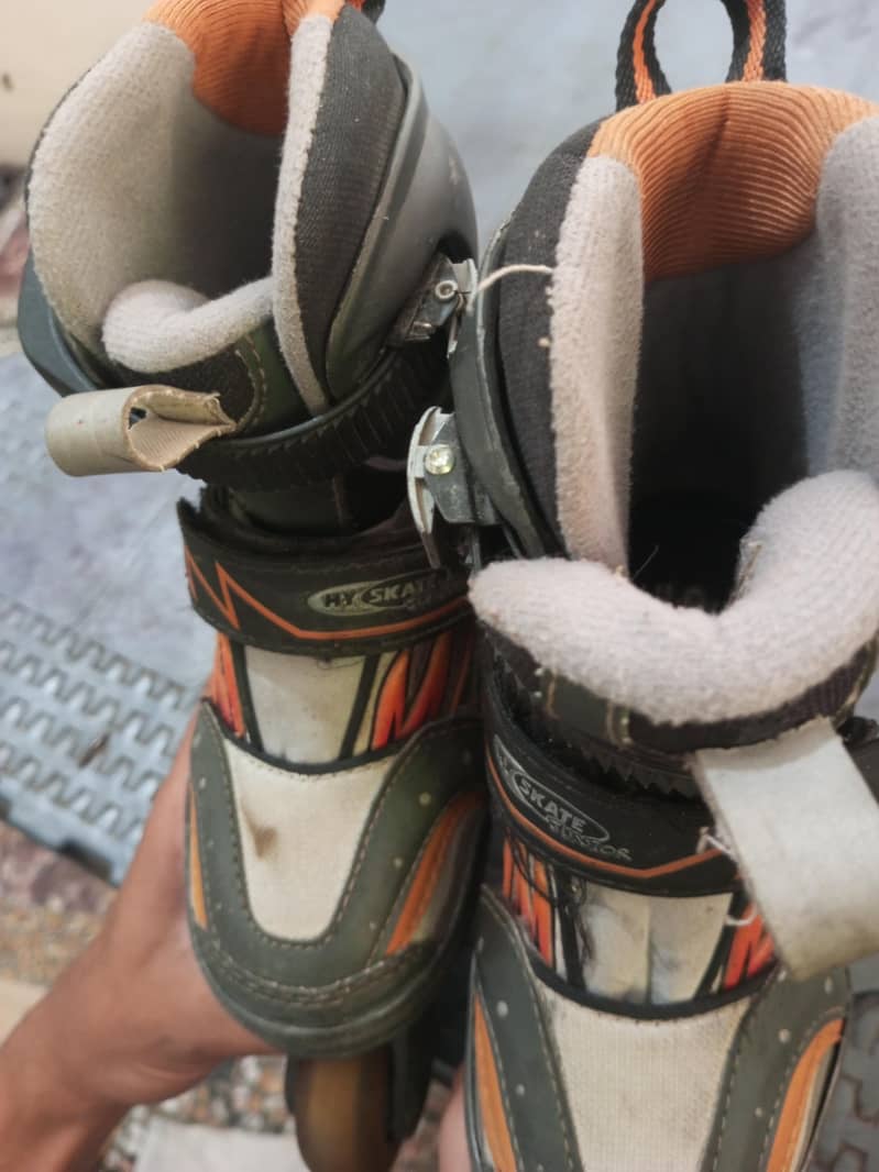 skates 2