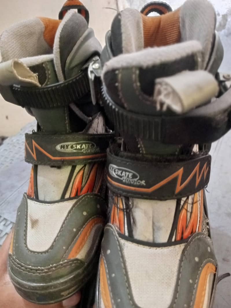 skates 3