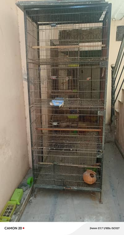 cages available