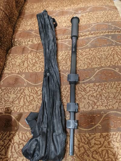 monopod single leg