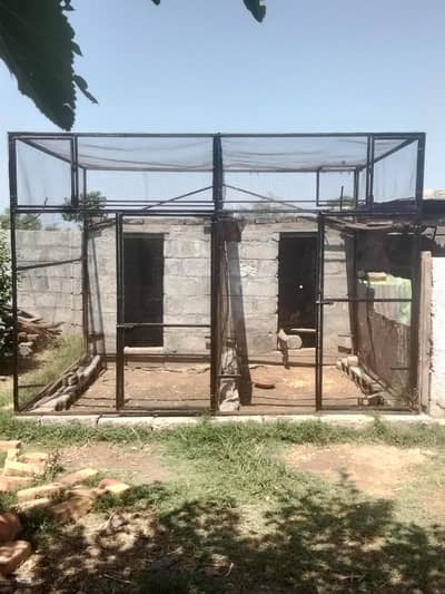 Jall for sale