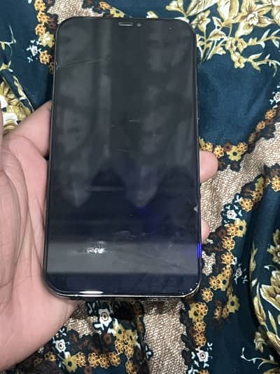 Apple iPhone 12 Pro Max