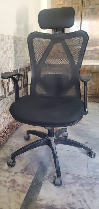 Master Offisys Executive Mesh Chair with Headrest