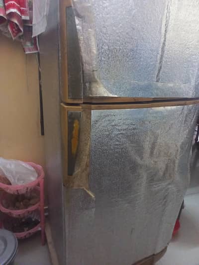 Pel Refrigerator Available