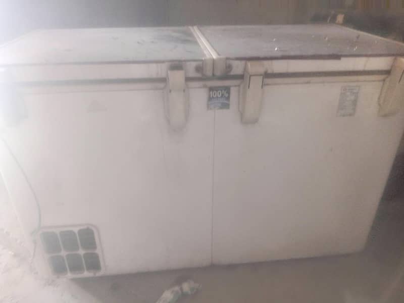freezer 1