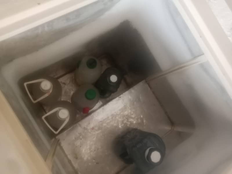 freezer 3