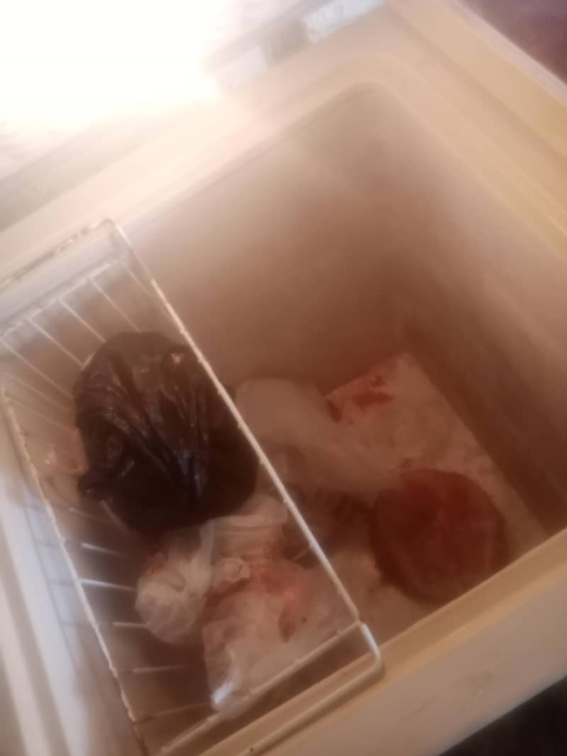 freezer 4