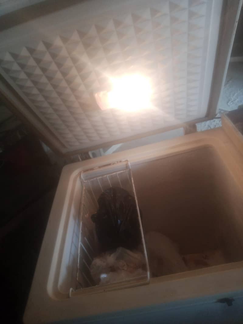 freezer 5