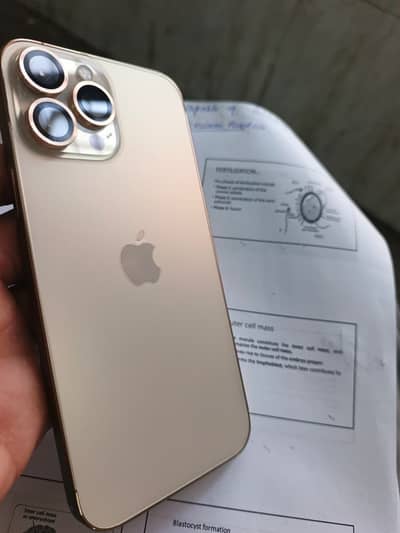 phone