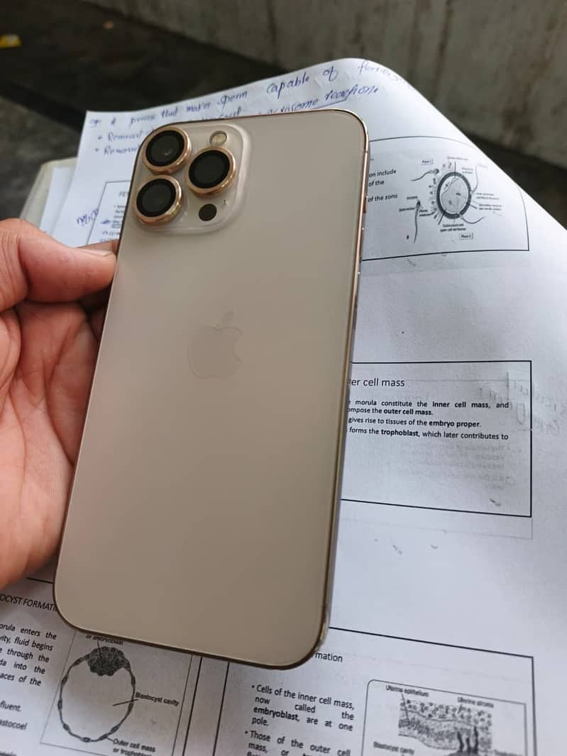 phone 5