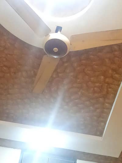 CEILING FAN FOR SALE