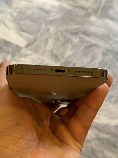 Apple iPhone 12 Pro Max