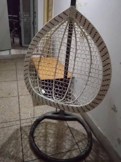 egg swings in new strong