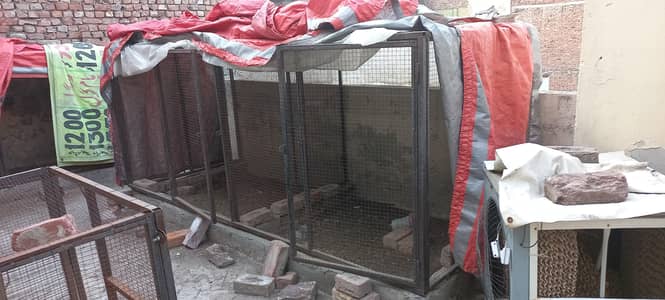 Cages for sale