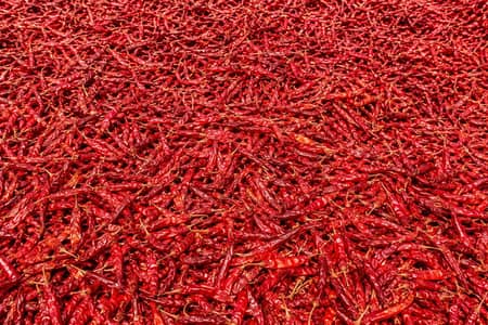 Red chili   خشک ہائبرڈ لال مرچ بڑی مقدار میں دستیاب 