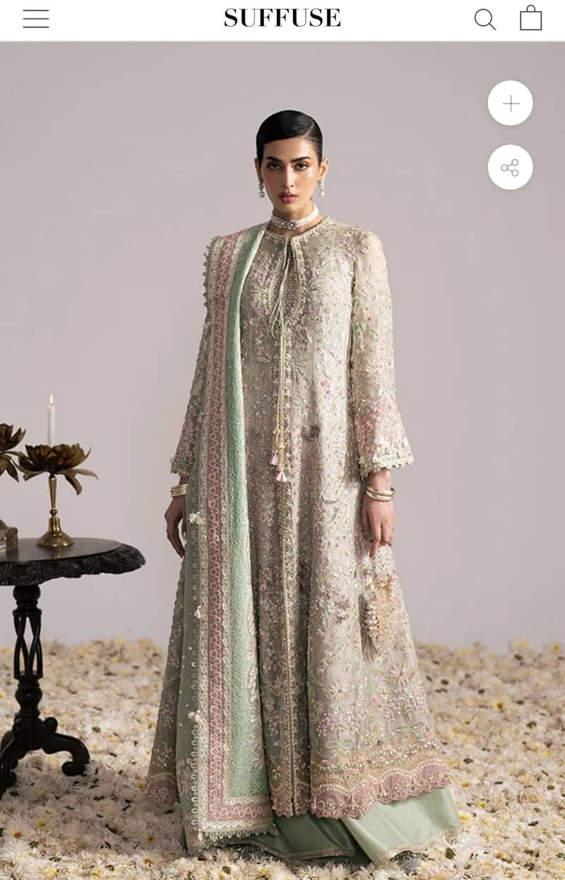 Suffuse freeshia 2