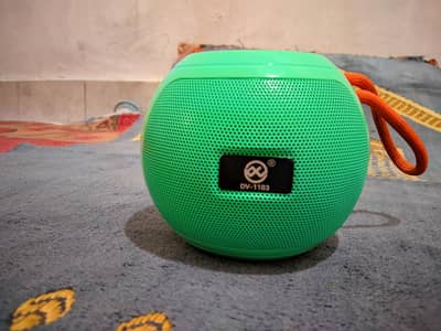 Wireless Speaker DV-1103